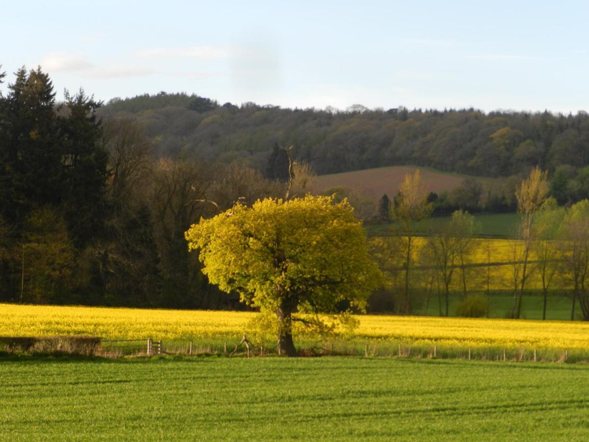 Comfy 4M -Bed Bell Tent With Great Views Hereford Exterior foto